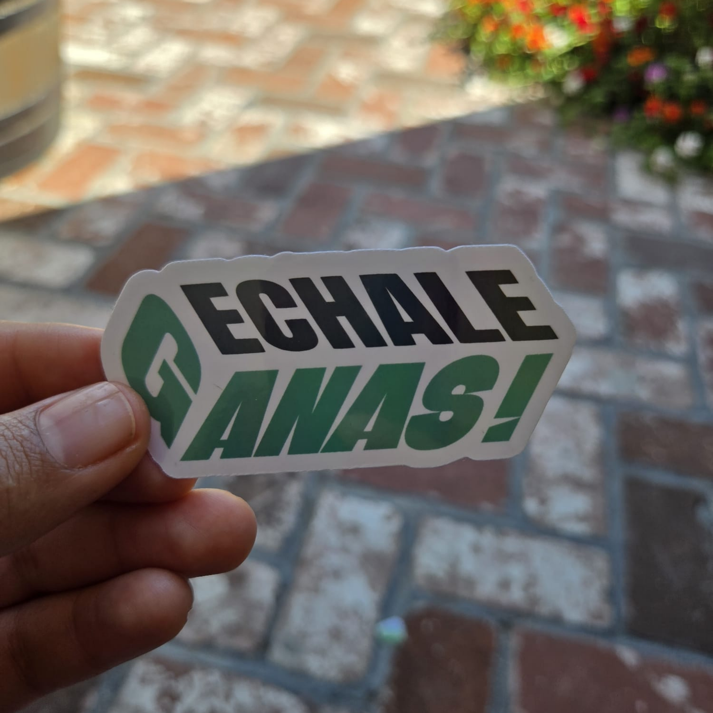 Echale Ganas! – Die Cut Holographic Sticker | Motivación Mexa con Brillo ✨💚